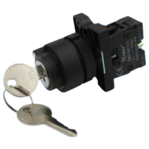 (S) Кнопка ПКВ2-LAY5-EG25 фото